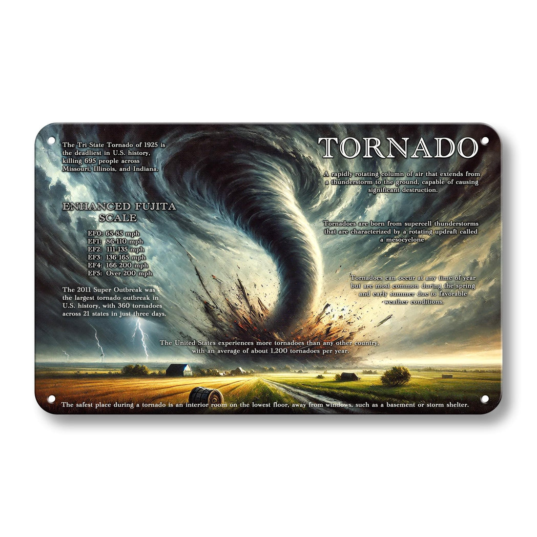 Minimal Creatures Educational Tornado Wall Sign – Weather Science Room Decor for Kids – Storm Chaser, Fujita Scale, Tornado Facts & Safety Tips for Learning & Party Supply | USA Made (Aluminum)