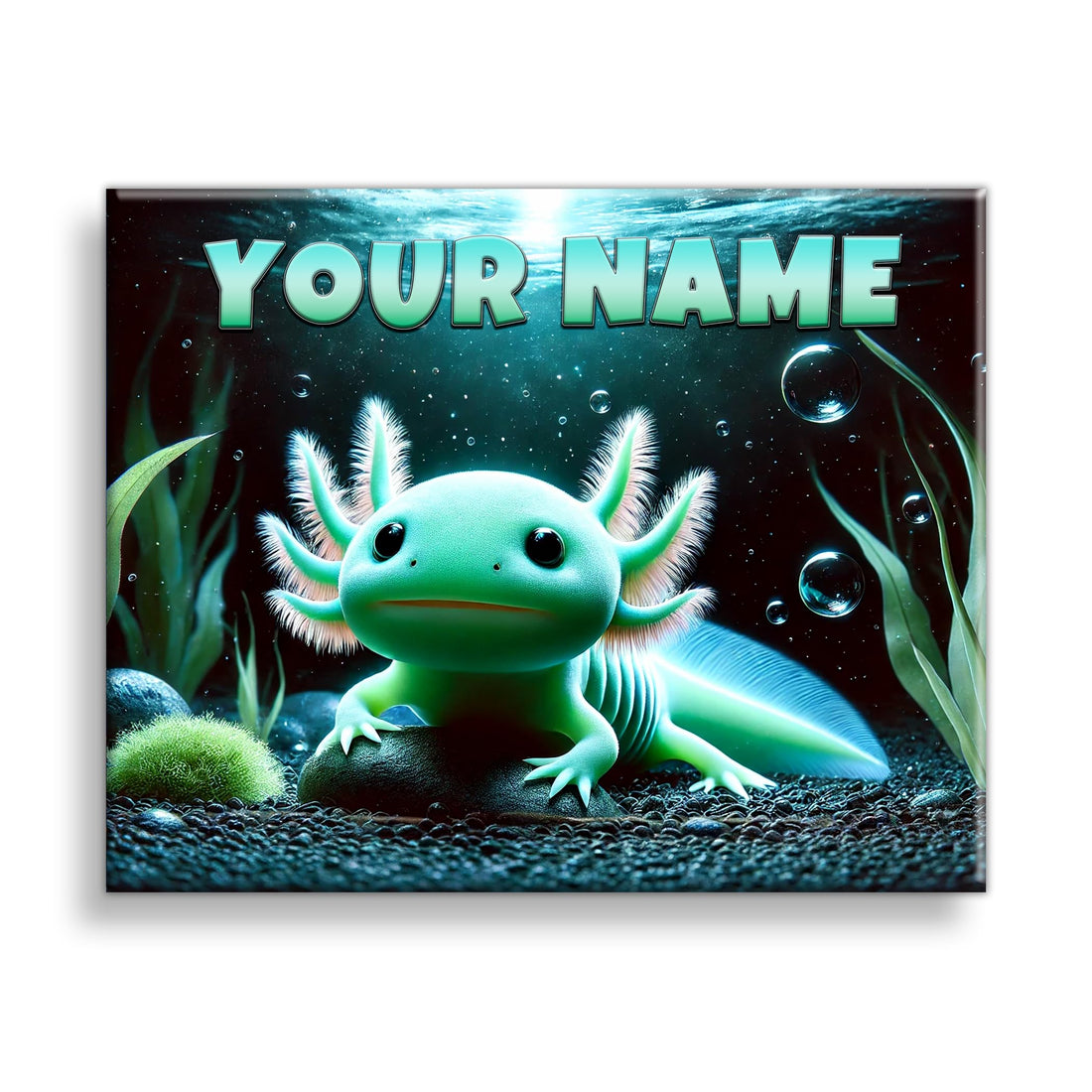Custom Axolotl Name Sign – Green Salamander Wall Art for Boys & Girls – Personalized Axolotl Decor for Kids’ Room – Cute Amphibian Reptile Canvas Print – 20x16" or 14x11" Parent Listing (20x16 inch)