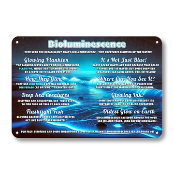 Educational Bioluminescence Sign, STEM Learning Wall Art